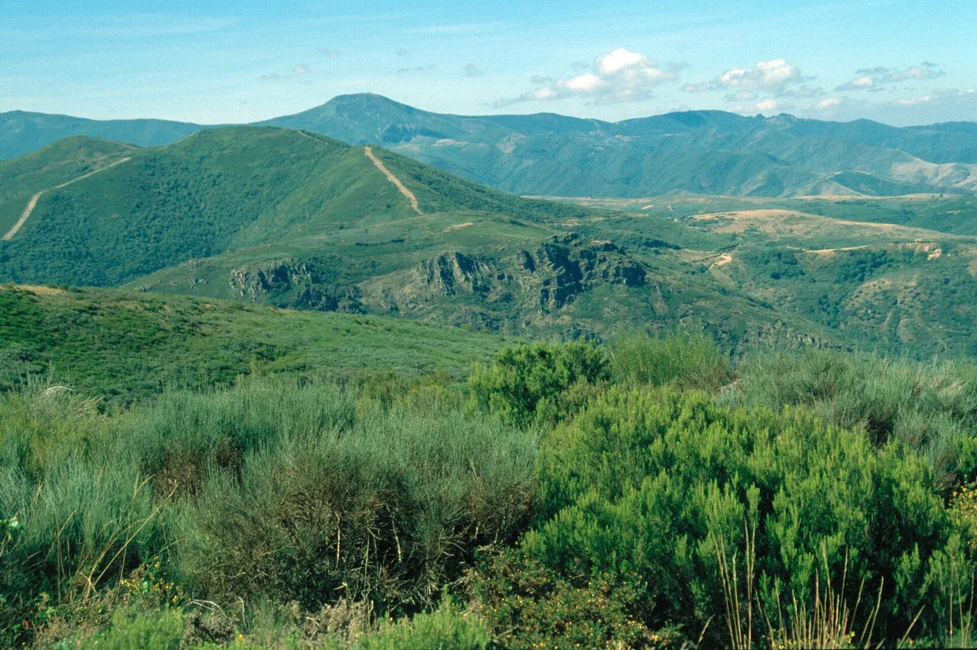Rabanal